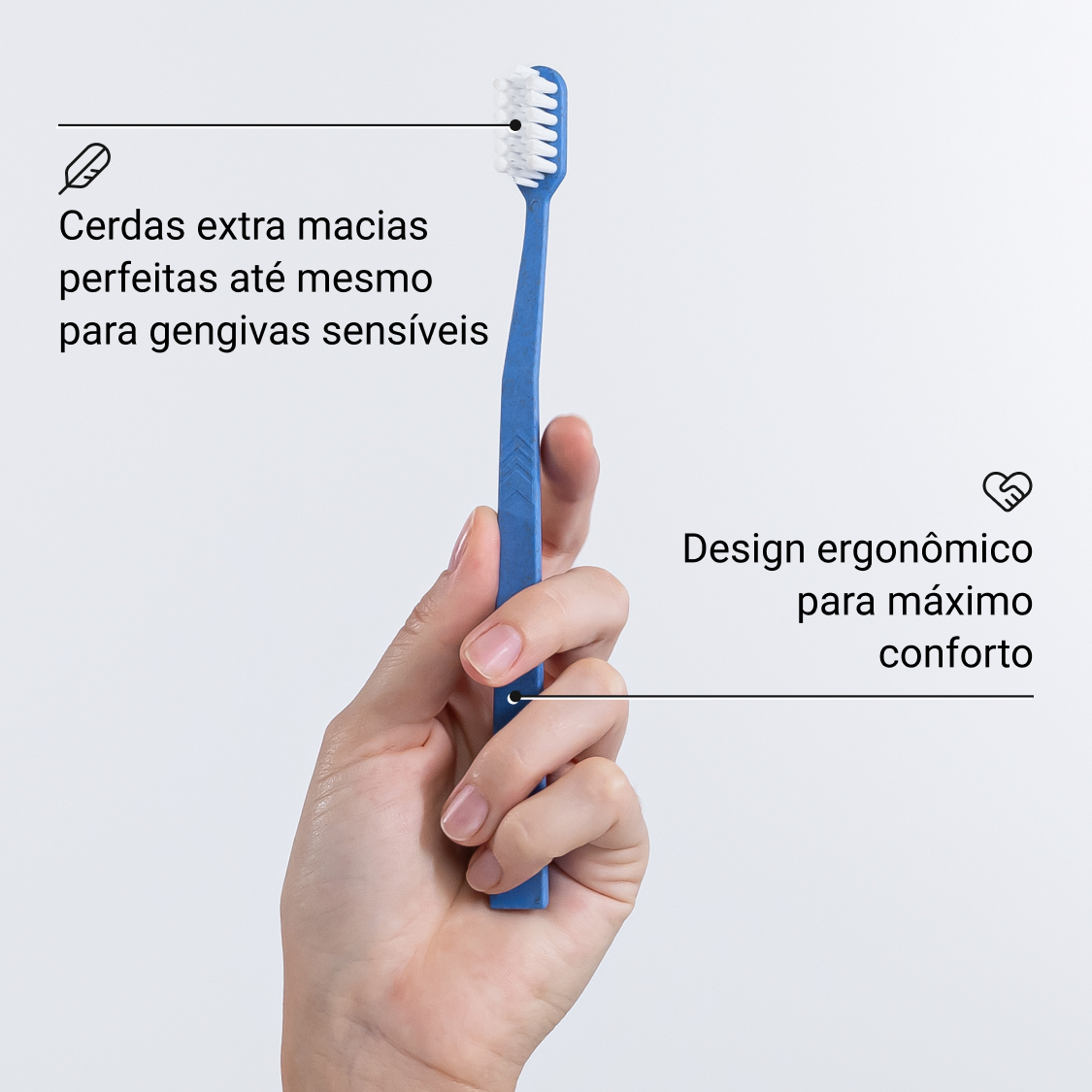 Escova Dental
